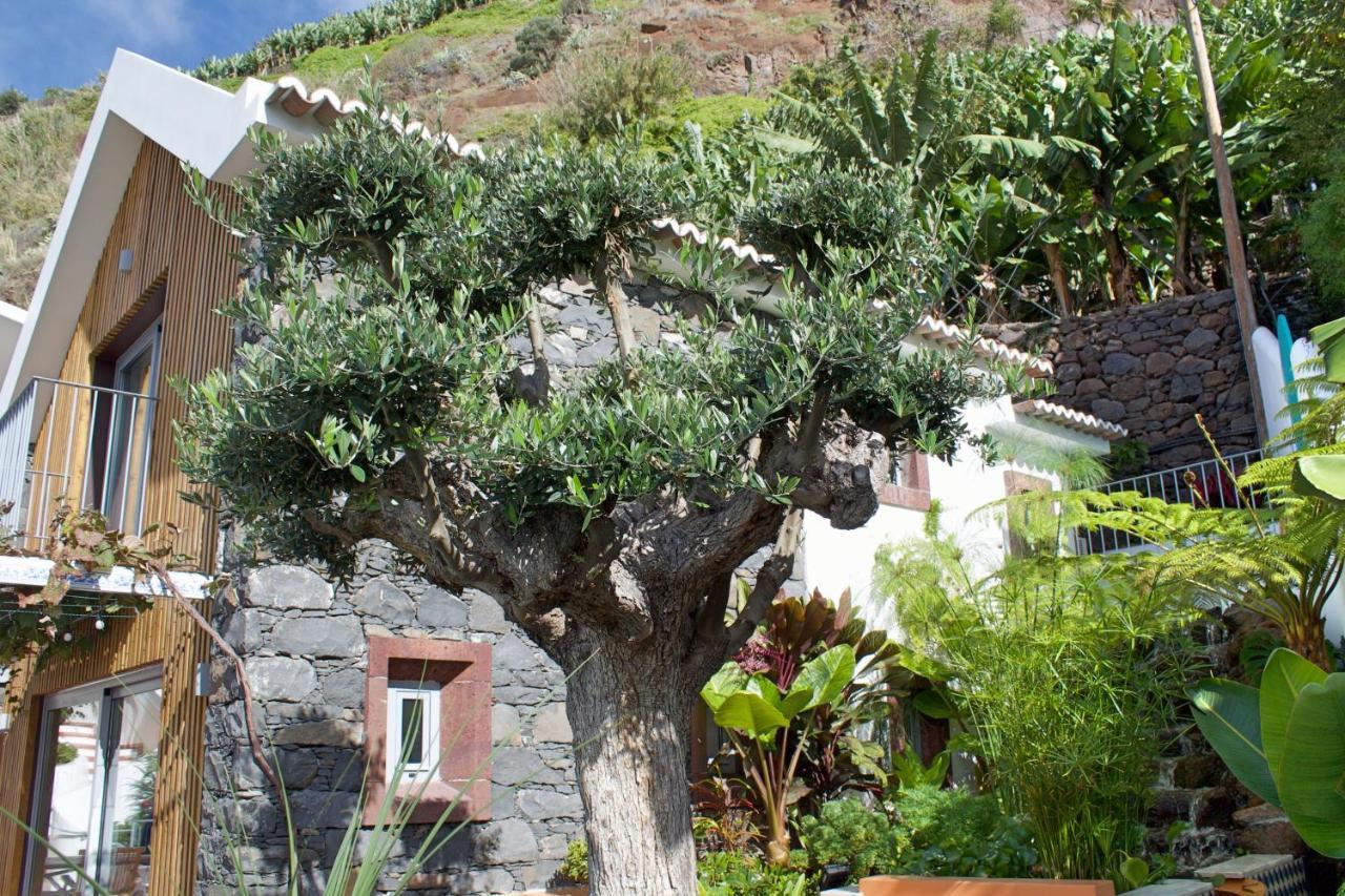 Ourmadeira - Villa Do Mar Iv, Secluded Calheta  Dış mekan fotoğraf