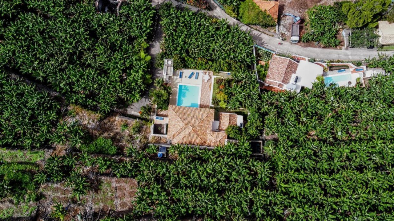 Ourmadeira - Villa Do Mar Iv, Secluded Calheta  Dış mekan fotoğraf